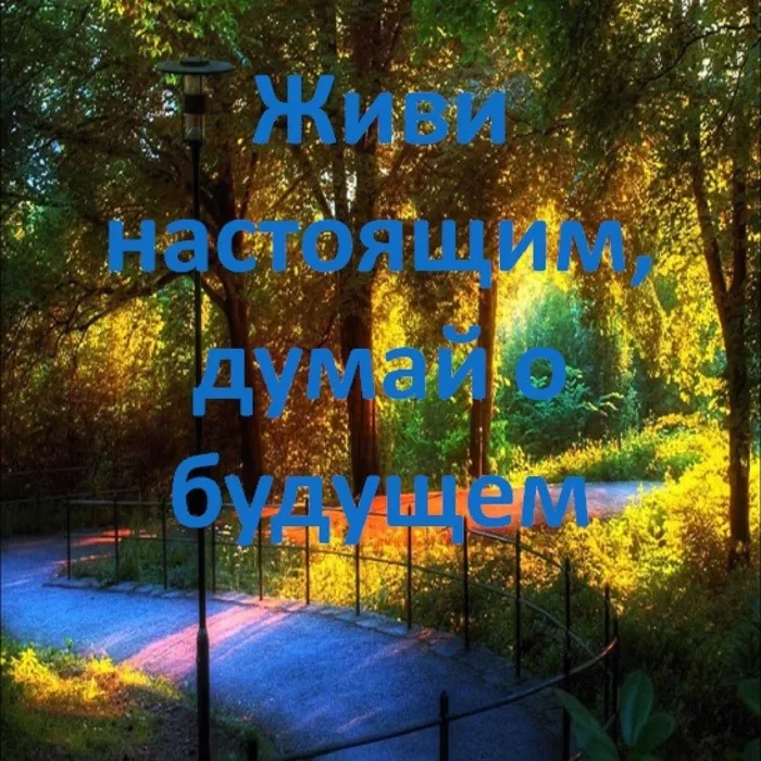 живи настоящим ЗОЖ