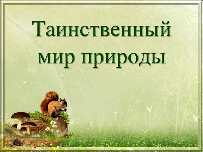 творчество бианки