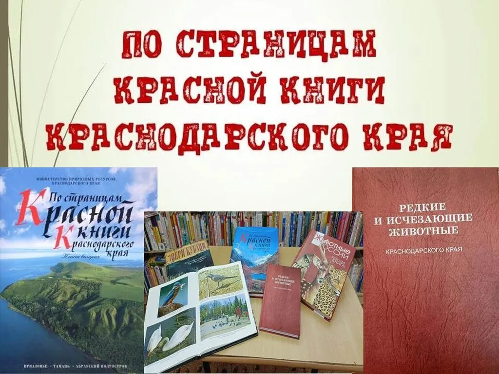ПО СТРАНИЦАМ  КРАСНОЙ КНИГИ КРАСНОДАРСКОГО КРАЯ