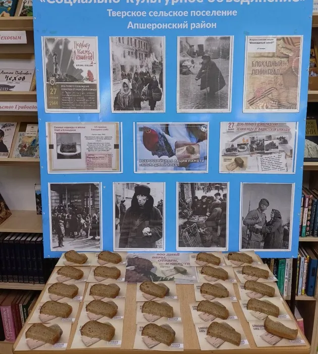 photo_5244846631621355556_y