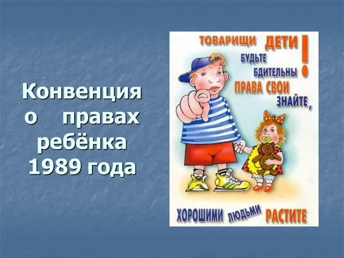 академия правовых знаний  06.11.