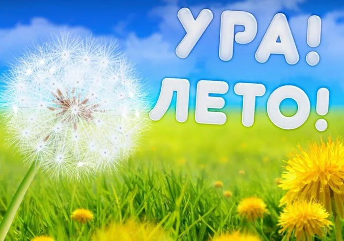 cea4ba70aaefeb58a211972aa71eecbf