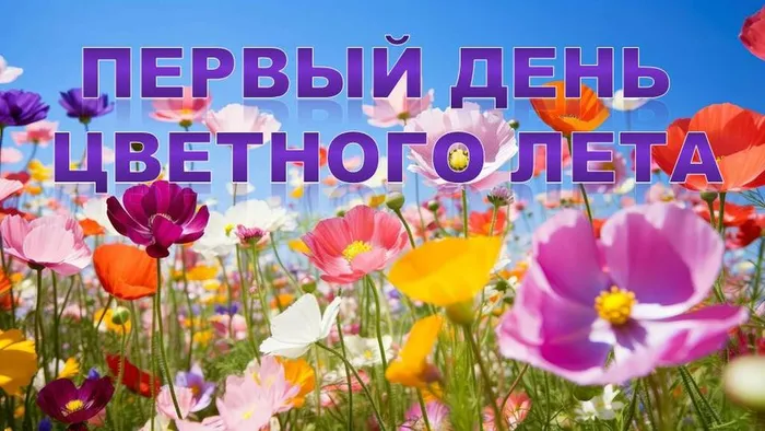Слайд1