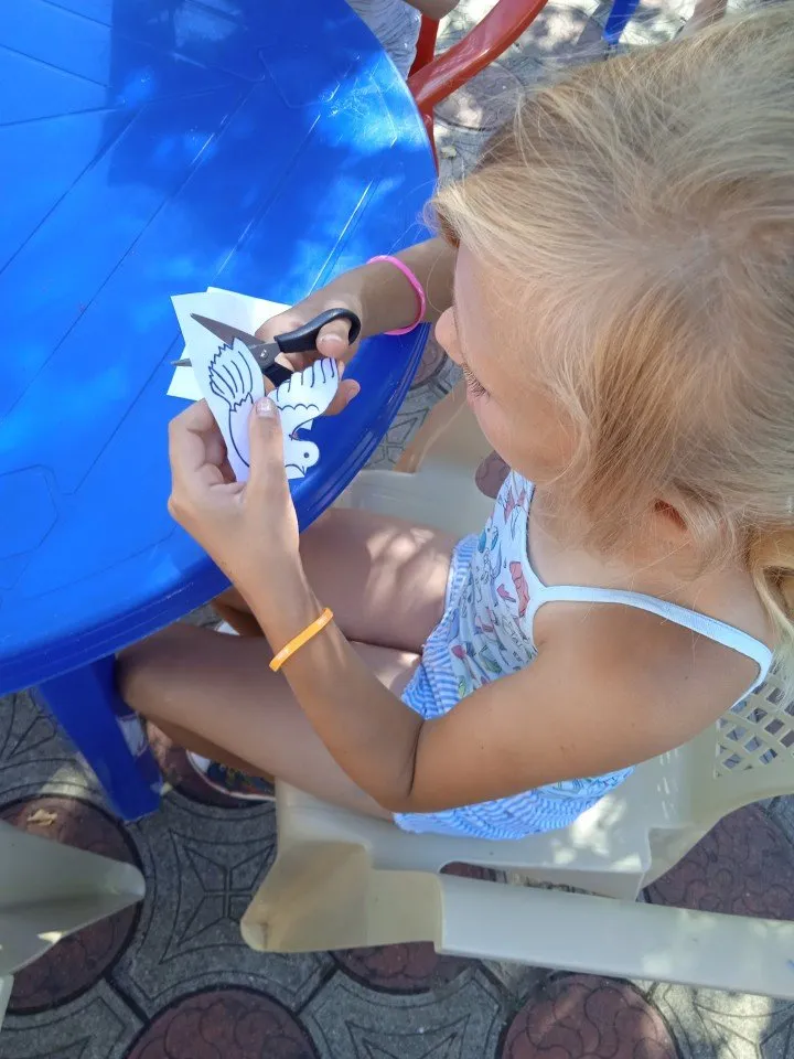 IMG_20210803_092655_1