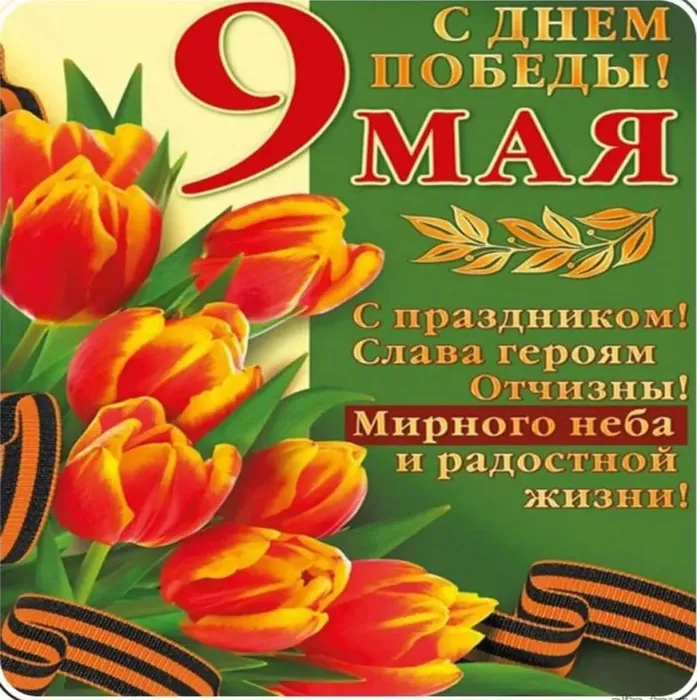 photo_5325605661897250426_y