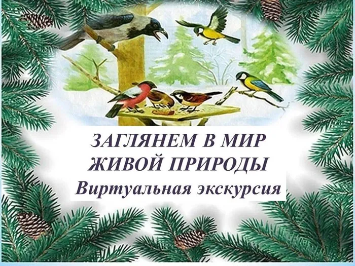 ЗАГЛЯНЕМ В МИР ЖИВОЙ ПРИРОДЫ2