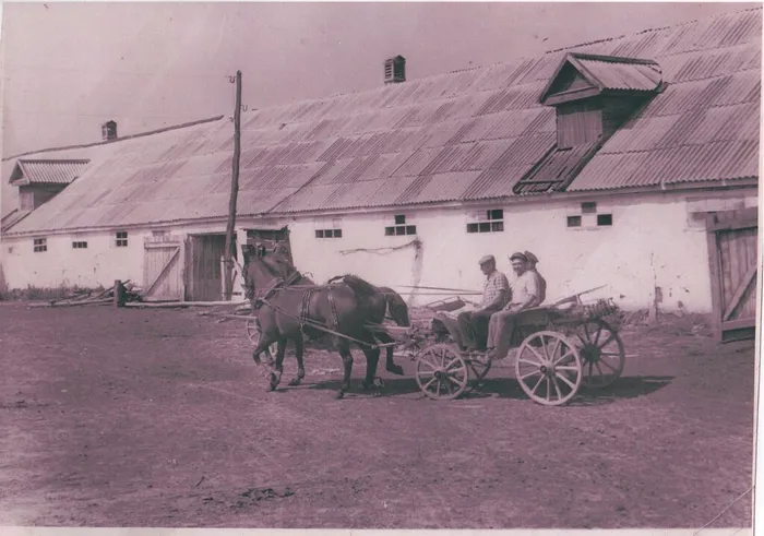 фото музей 003