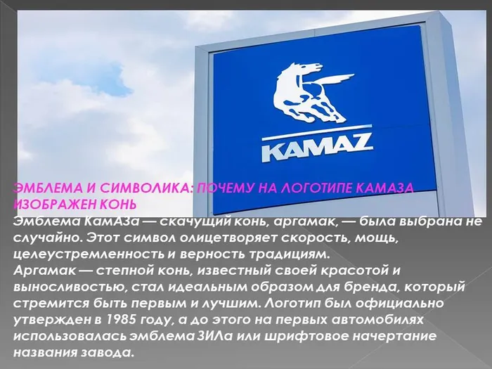 Презентация Microsoft PowerPoint4