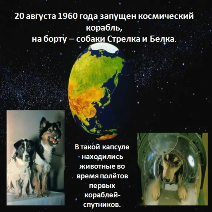 12 апреля5.jpg