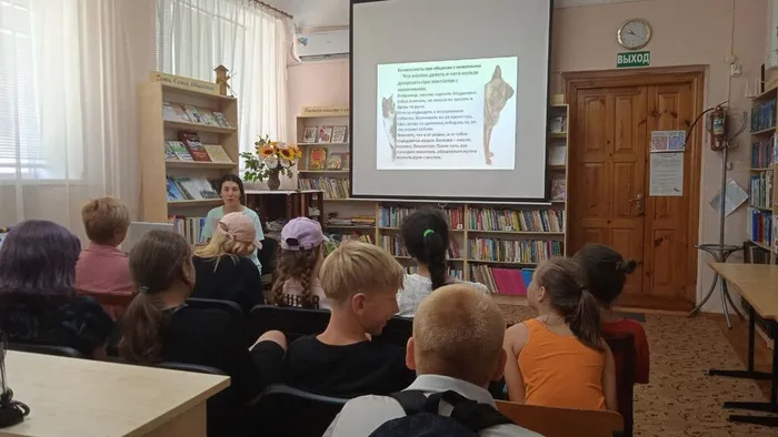 photo_5235654834672228768_y