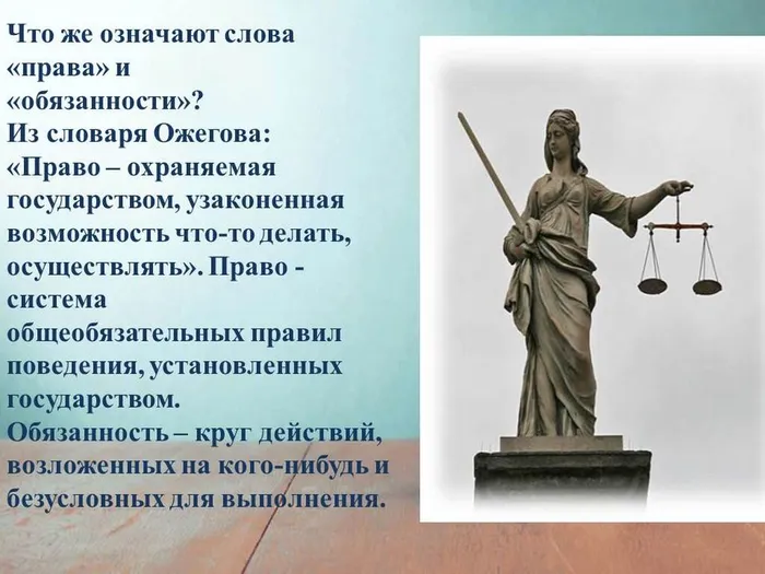 ЧЕЛОВЕК В МИРЕ ПРАВИЛ1