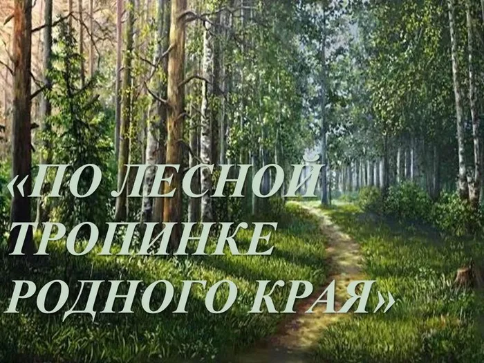 ПО ЛЕСНОЙ ТРОПИНКЕ..