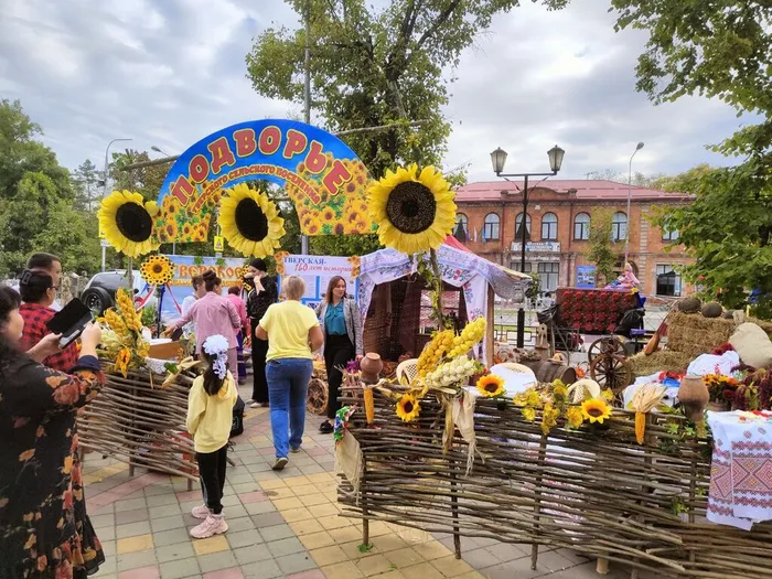 photo_5199459697864854474_y