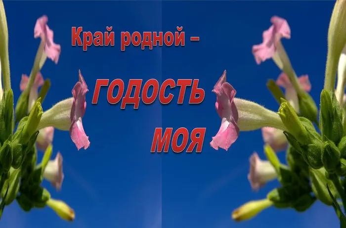Слайд1