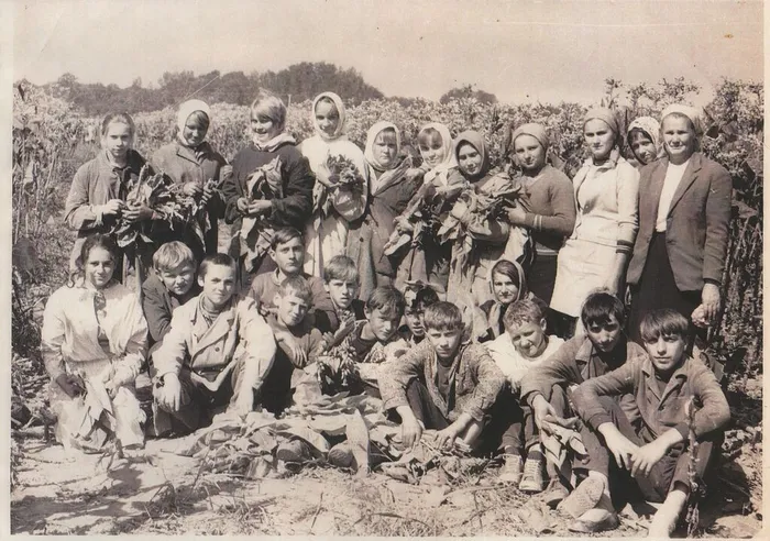 школьники на ломке табака