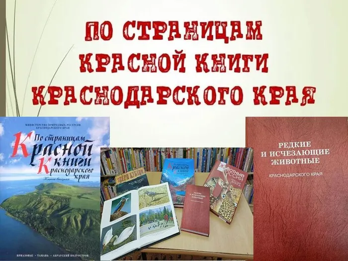 ПО СТРАНИЦАМ  КРАСНОЙ КНИГИ КРАСНОДАРСКОГО КРАЯ
