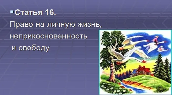 знаеш ли ты всои права46
