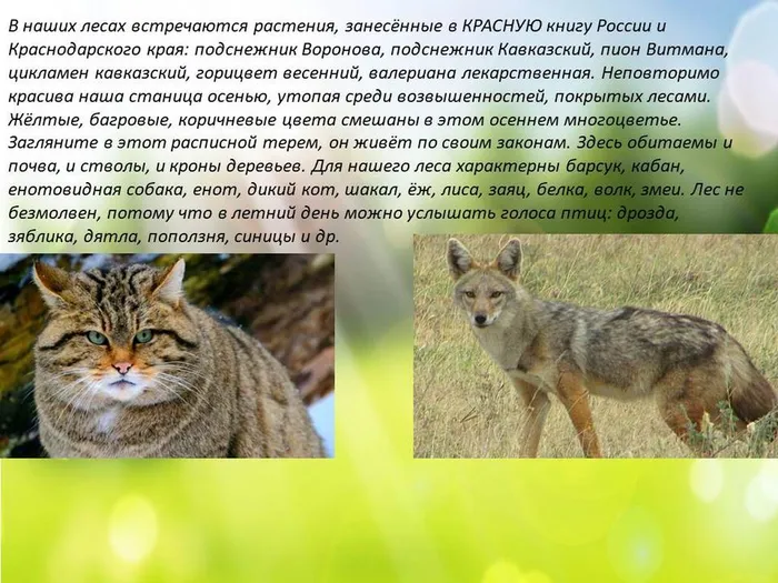 О ТОЙ ЗЕМЛЕ,ГДЕ ТЫ РОДИЛСЯ5pptx