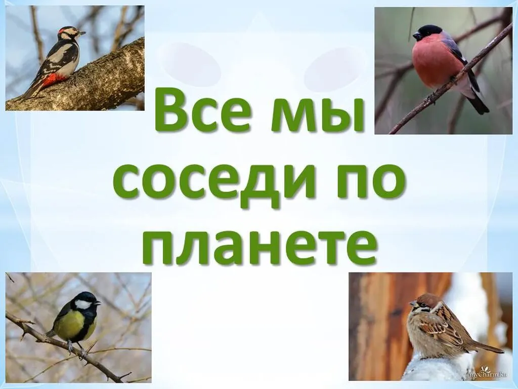 день птиц 01.04.