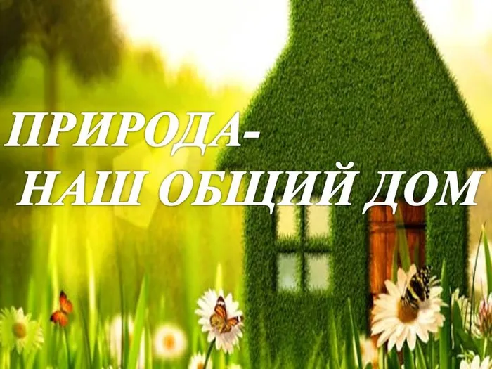 Презентация Microsoft PowerPoint