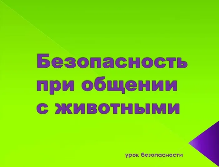 животные безопасность