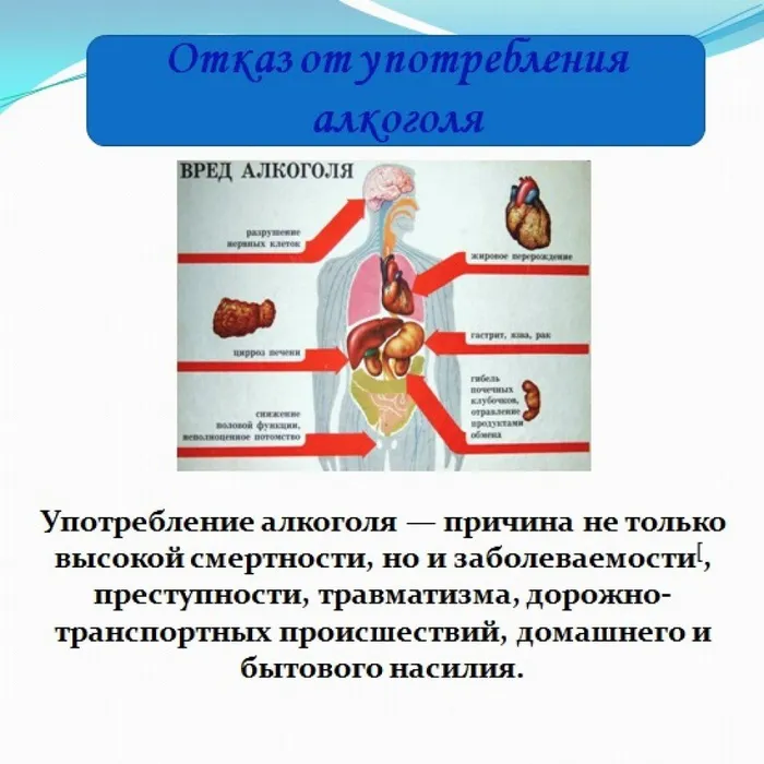 живи настоящим ЗОЖ5