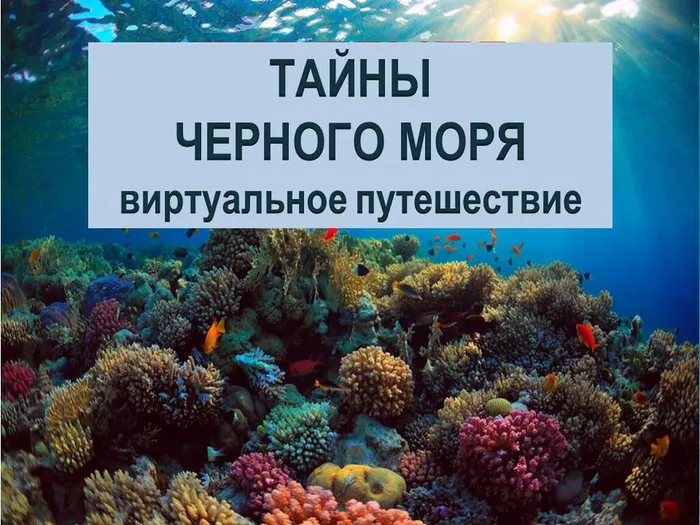 ЧЕРНОЕ МОРЕ