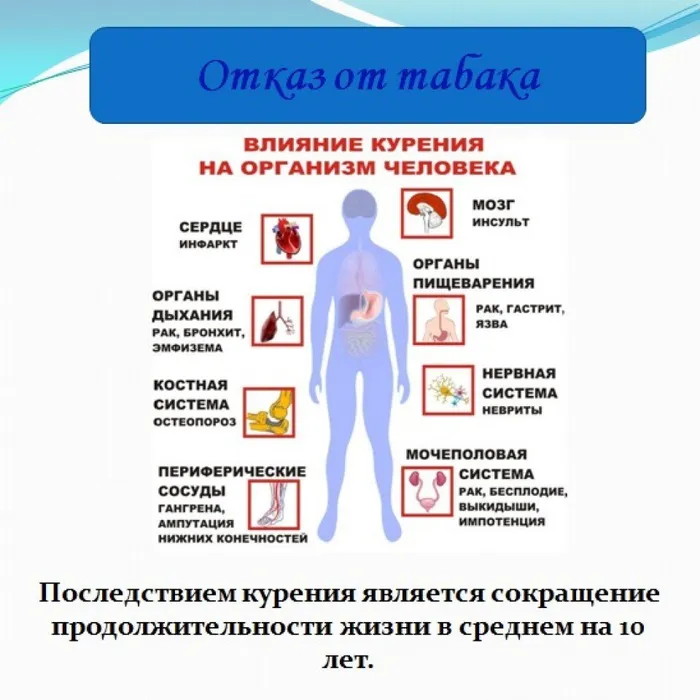 живи настоящим ЗОЖ4