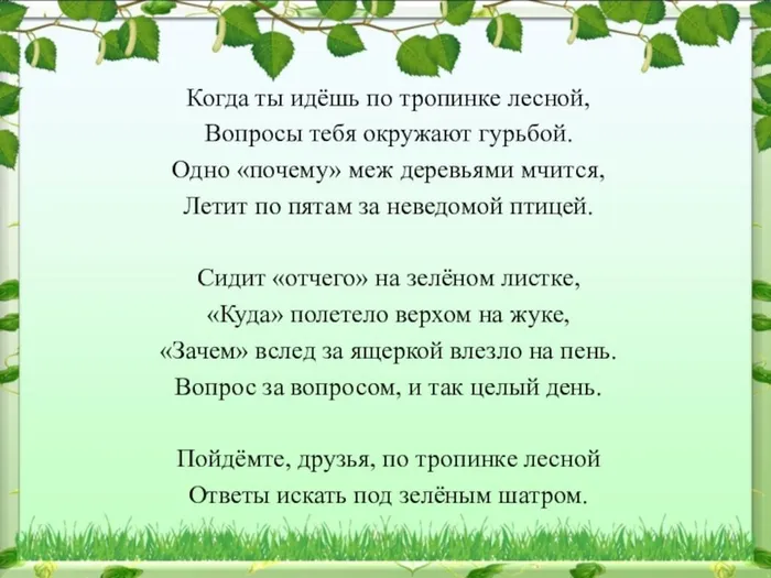 023874a78d95f6ea10db323f4784a719-800x