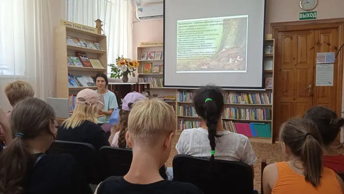 photo_5235654834672228771_y