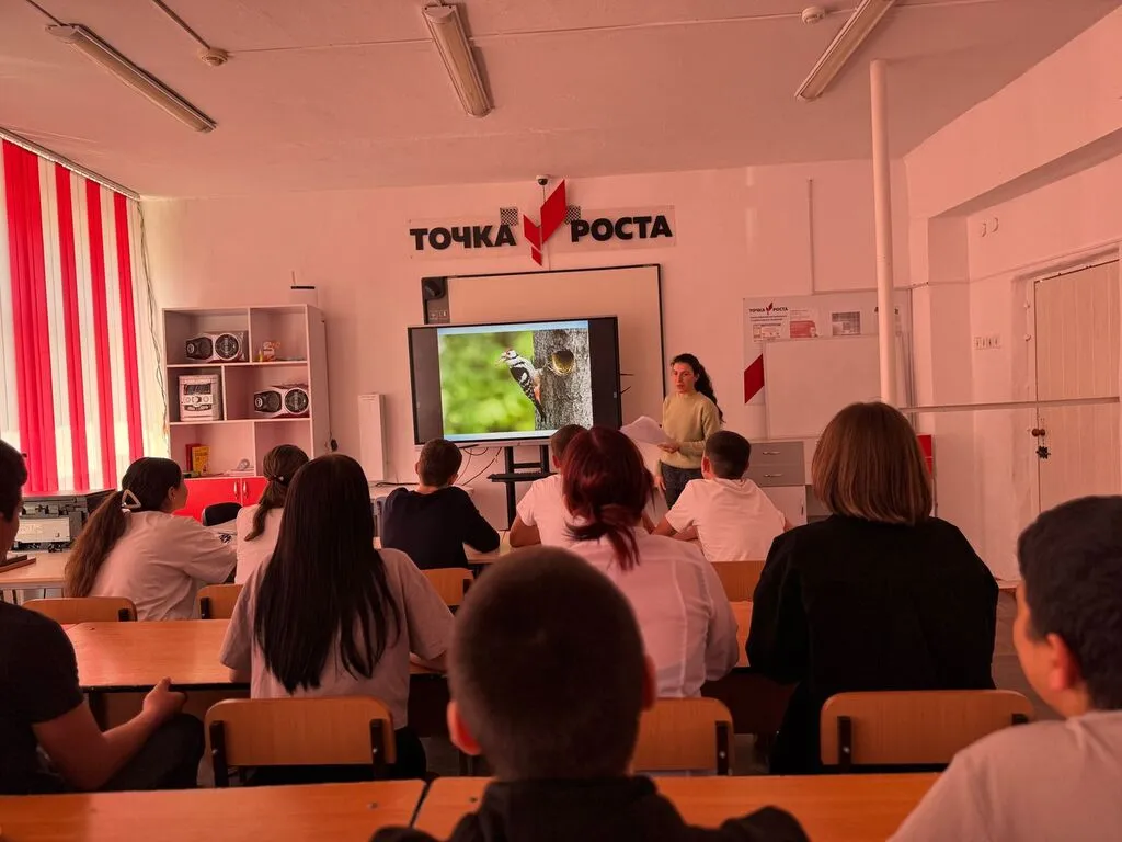 день птиц 04