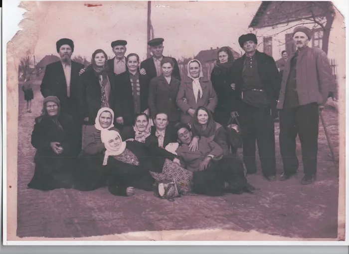 ноябрь 1953г.